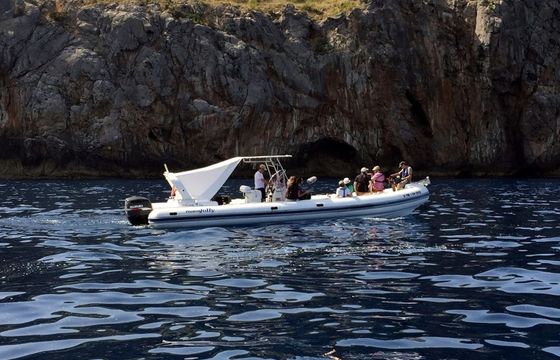 Nuova Jolly King Extreme 990 Tripona's