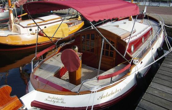 Motorbol 8.6 Aalscholver