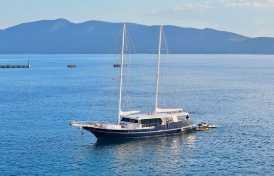 Motor Sailer 114 S4