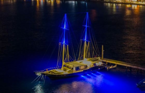 Motor Sailer 114 S4