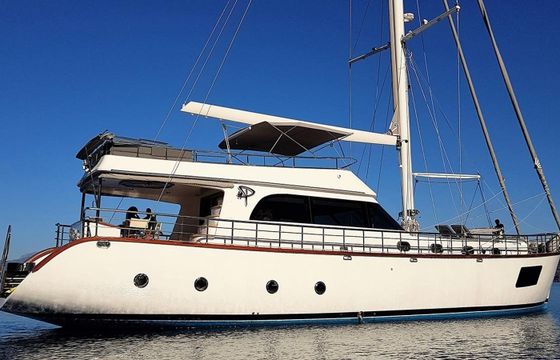 Motor Sailer 75 Perdue