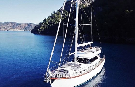 Motor Sailer 75 Perdue