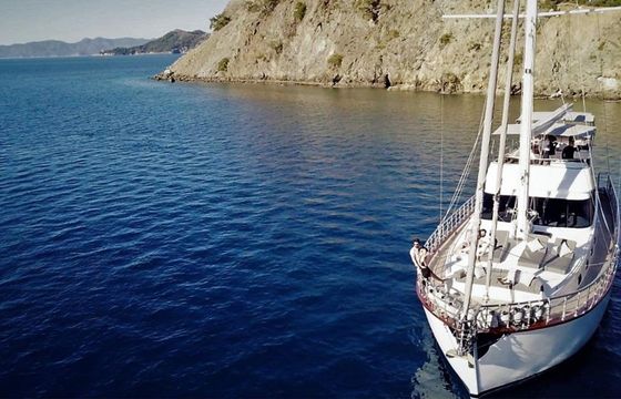 Motor Sailer 75 Perdue