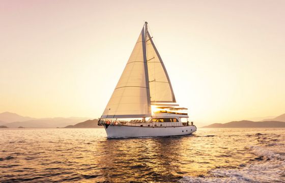 Motor Sailer 75 Perdue