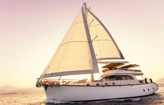 Motor Sailer 75 Perdue