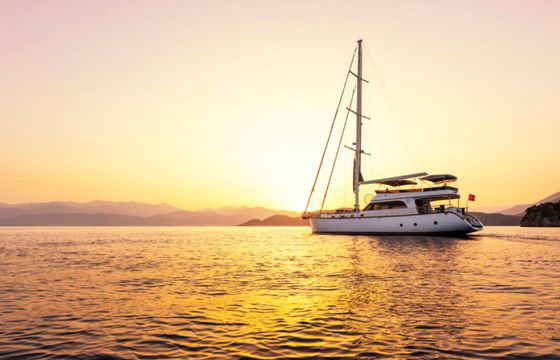Motor Sailer 75 Perdue