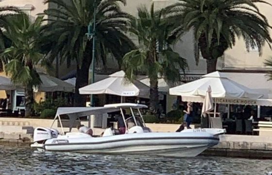 Marlin 298 Marlin