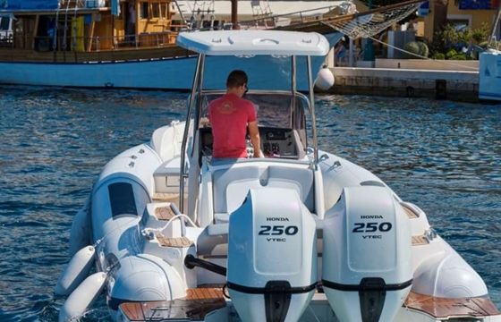 Marlin 298 Marlin