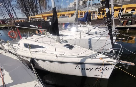 Northman Maxus 28 Prawy Hals