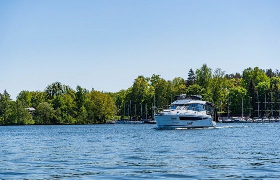 Odysseya Platinum 40 Fly Texar 2