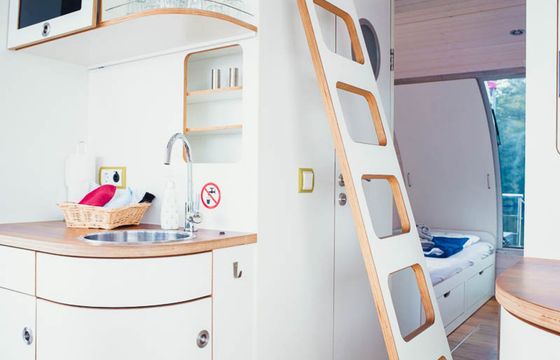 Nautilus Nautino Maxi Seeotter