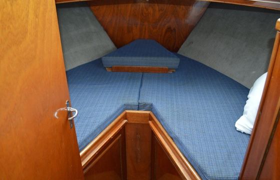 Palan DL 1100 Parel