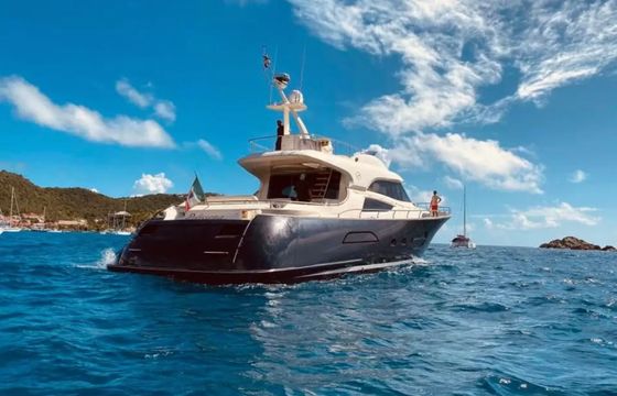 Mochi Craft Dolphin 74 Polissena