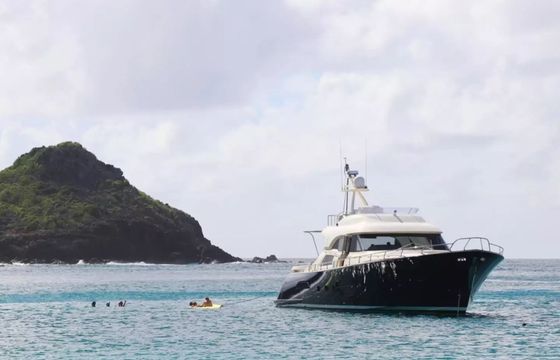 Mochi Craft Dolphin 74 Polissena