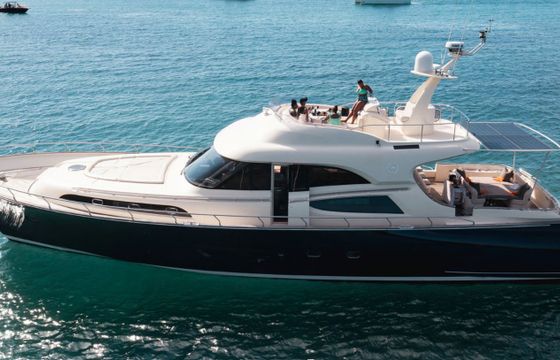 Mochi Craft Dolphin 74 Polissena