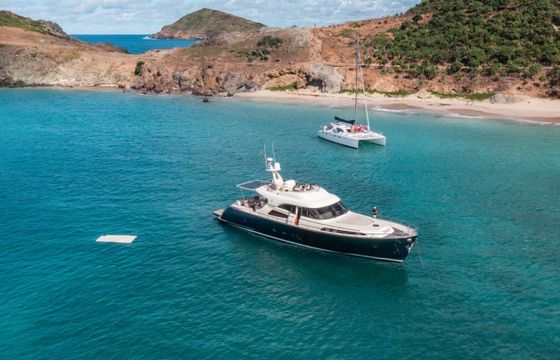 Mochi Craft Dolphin 74 Polissena