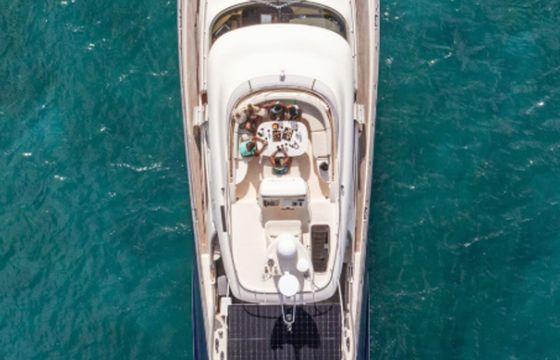 Mochi Craft Dolphin 74 Polissena
