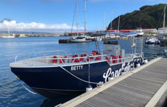 Moggaro M950 Betty