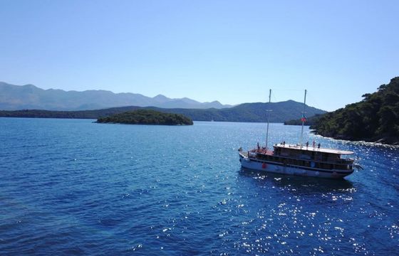 Motor Sailer 29 Plomin