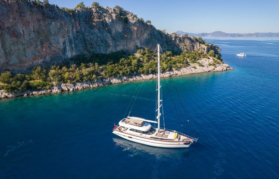 Motor Sailer 91 Destiny