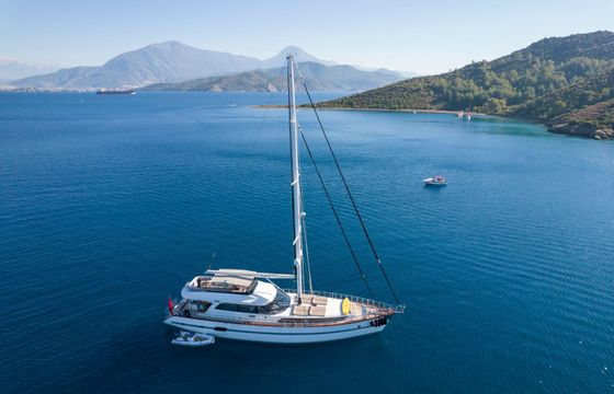 Motor Sailer 91 Destiny
