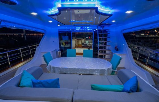 Motor Sailer 91 Destiny