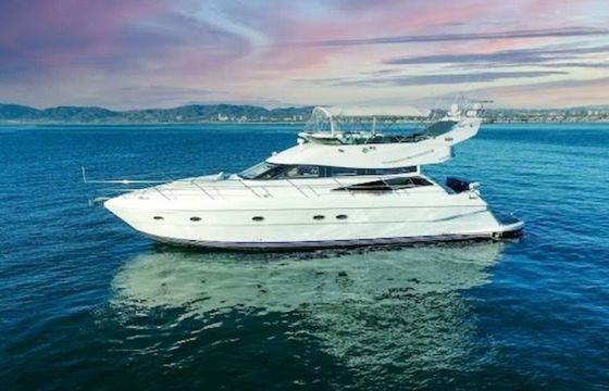 Neptunus 560 Double Down