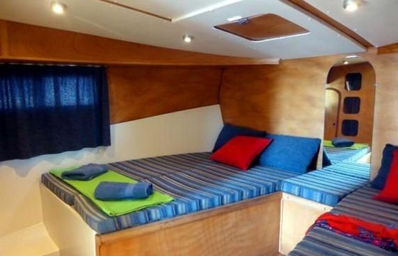 New Concorde 890 Suite Due