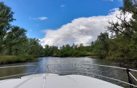 Nicols Estivale Quattro Heusden