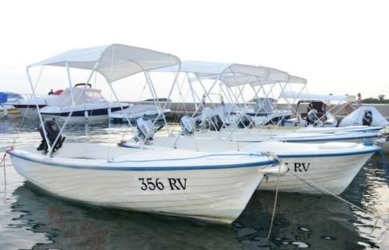 Pasara 450 09