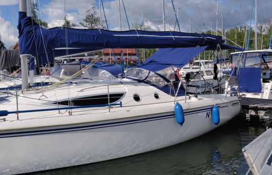 Northman Maxus 33 Jakub