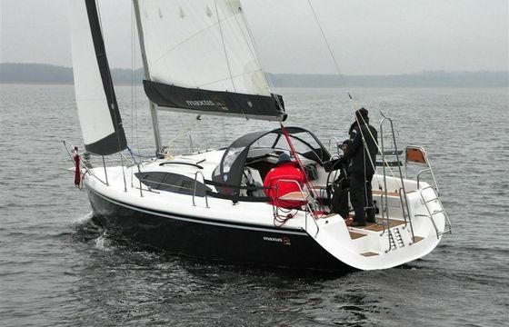 Northman Maxus 33.1 Negros