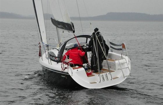 Northman Maxus 33.1 Negros
