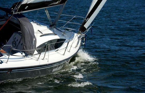 Northman Maxus 33.1 Negros