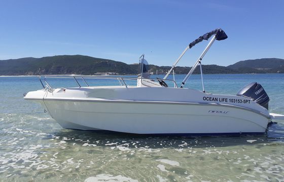 Nireus 5.30 Ocean Life