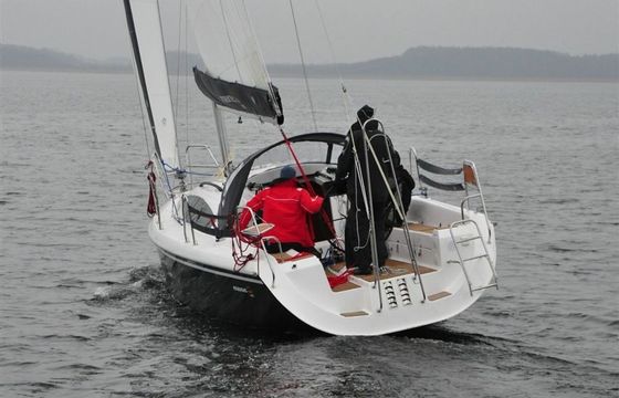 Northman Maxus 33.1 Sumatra