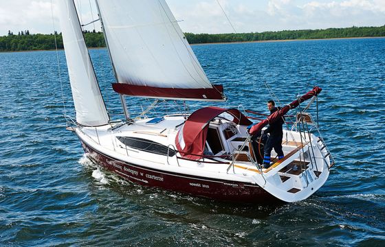 Northman Maxus 33.1 Wind Rose