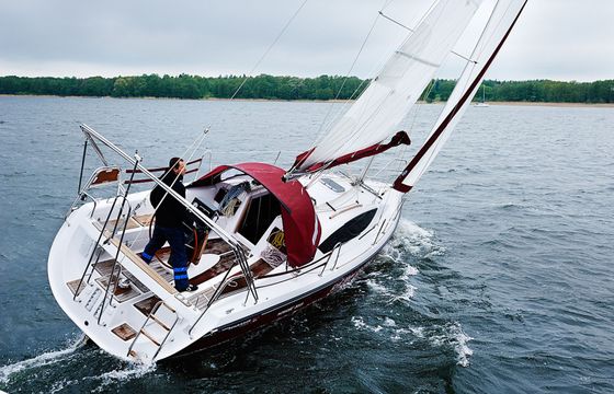 Northman Maxus 33.1 Wind Rose