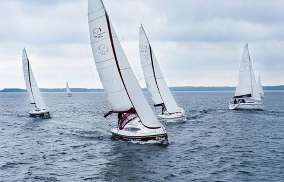 Northman Maxus 33.1 Wind Rose