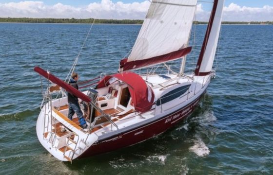 Northman Maxus 33.1 Wind Rose