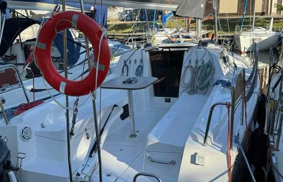 Northman Maxus 26 Freedom