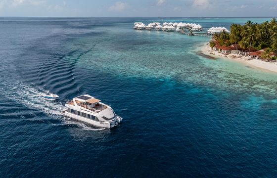 Overblue 54 Over Reef