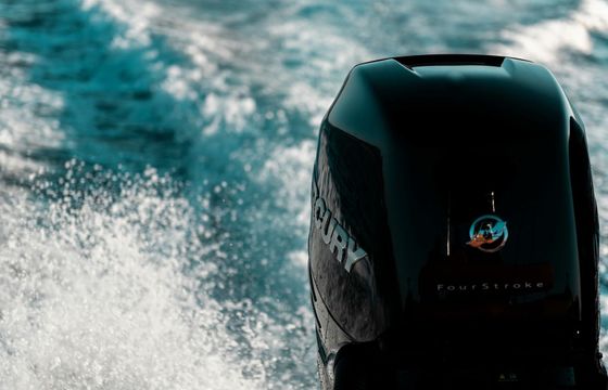 Nuova Jolly 30 Go-Wild