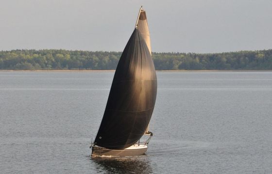 Northman Maxus 33.1 Midnight Sun