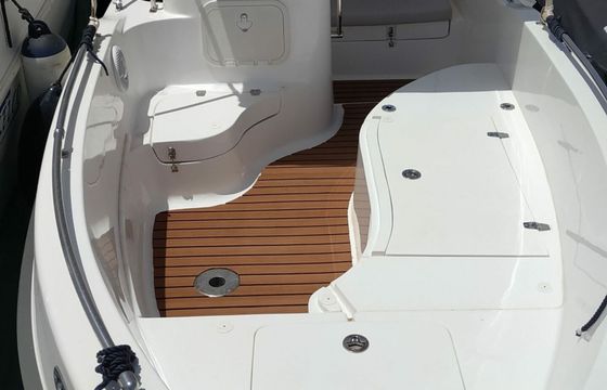 Nireus 490 Mango