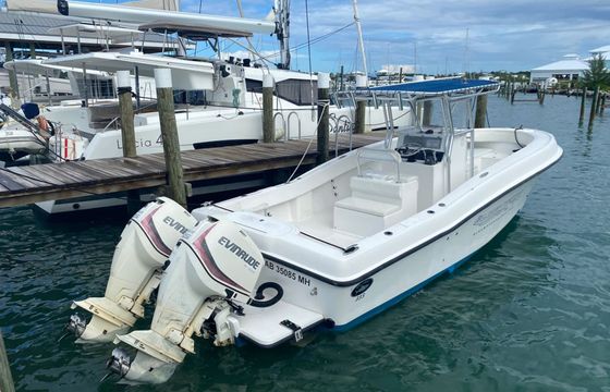 Paramount 26 Twin