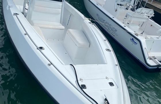 Paramount 26 Twin