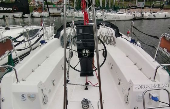 Northman Maxus 33.1 Forget me not