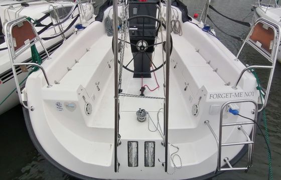 Northman Maxus 33.1 Forget me not