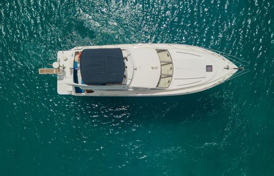 Princess 470 Champions